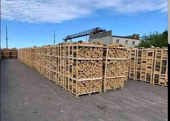Bois hetre